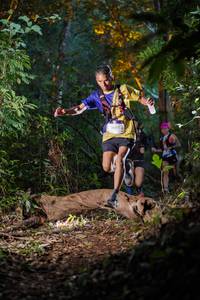 BIB: 
                            <button type="button" onclick="openModal(19231020)" class="btn btn-primary btn-sm float-right btn-popup" data-toggle="modal" data-target=".modal-high-quality">
                        <i class="fas fa-shopping-cart"></i> Add to Cart
                    </button>
                                            <button type="button" onclick="isThisMe(19231020, true)" class="btn btn-success btn-sm float-right btn-popup btn-isme hidden" data-toggle="tooltip" data-placement="bottom" title="นี่คือรูปของคุณใช่ไหม คลิกที่นี่เพื่อเอาเข้าอัลบั้ม">
                        <i class="fas fa-plus"></i> Add to album
                    </button>
                    <button type="button" onclick="isThisMe(19231020, false)" class="btn btn-warning btn-sm float-right btn-popup btn-isnotme hidden">
                        <i class="fas fa-ban"></i> Remove from album
                    </button>